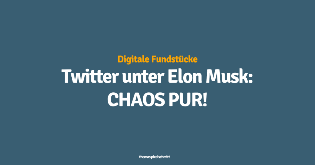 Twitter unter Elon Musk: Es herrscht das reinste Chaos!